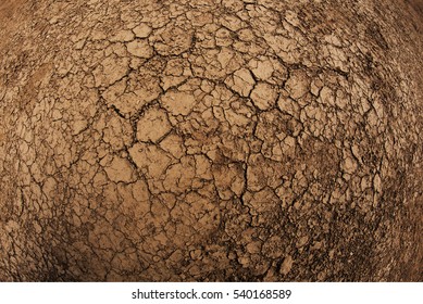 Cracked Mud Texture