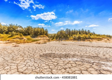 Cracked Mud Tiles In Dry Lake Bed