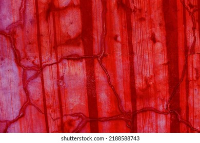 Cracked Red Wall Background, Spooky Bloody Wall. Creepy Wall With Blood Splash For Halloween Background.