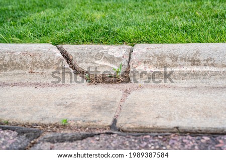 cracked road siding with grass growing through gap