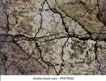 Cracked Rock Texture Background