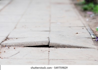 Cracked Sidewalk 