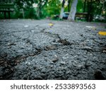 A cracked sidewalk with leaves on the ground. The scene has a somewhat abandoned or neglected feel to it.