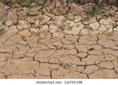 Cracked Soil In Drought And Dry Season In Rural Area. Soil Restore Is Needed To Develop The New Soil Food Web For Sustainable Farming And Planting