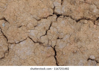 Cracked Soil In Drought And Dry Season In Rural Area. Soil Restore Is Needed To Develop The New Soil Food Web For Sustainable Farming And Planting