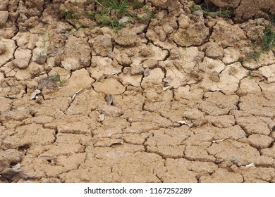 Cracked Soil In Drought And Dry Season In Rural Area. Soil Restore Is Needed To Develop The New Soil Food Web For Sustainable Farming And Planting