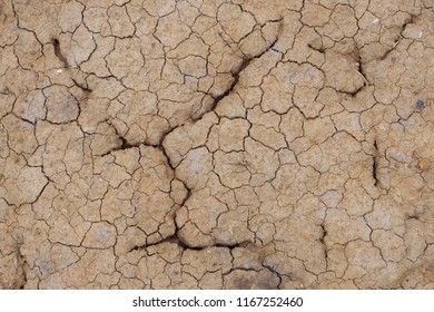 Cracked Soil In Drought And Dry Season In Rural Area. Soil Restore Is Needed To Develop The New Soil Food Web For Sustainable Farming And Planting