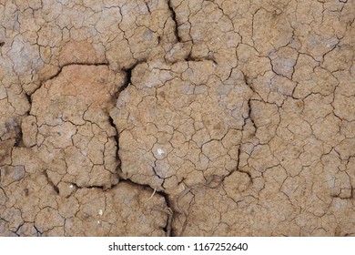 Cracked Soil In Drought And Dry Season In Rural Area. Soil Restore Is Needed To Develop The New Soil Food Web For Sustainable Farming And Planting