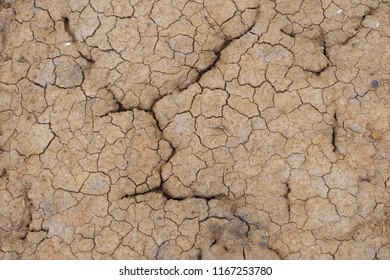 Cracked Soil In Drought And Dry Season In Rural Area. Soil Restore Is Needed To Develop The New Soil Food Web For Sustainable Farming And Planting