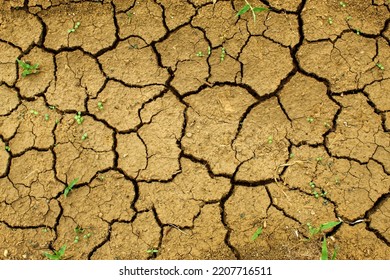 Cracked Soil Texture Background Due Scorching Stock Photo 2207716511 ...