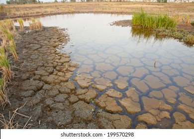 Cracked Soil In Water., Cracked Earth 