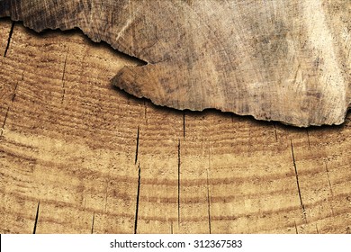 Cracked Tree Slab Wood  Background