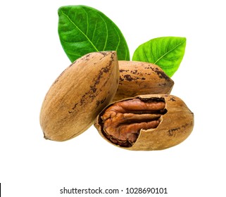 Cracked and whole pecan nuts with green leaves isolated on white.