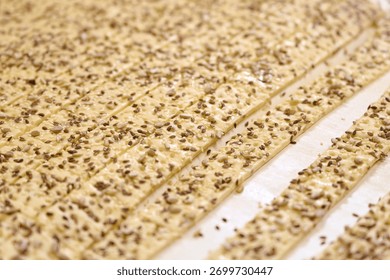Cracker dough ribbons ready for processing on conveyor in a food production facility during the daytime