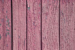 Cracking And Peeling Pink Paint On A Wall. Vintage Wood Background With Green Peeling Paint. Old Board With Irradiated Paint