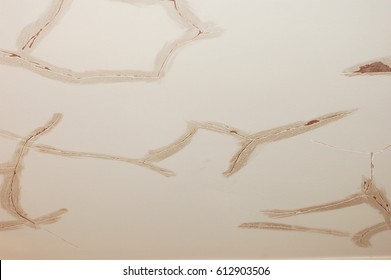 Cracked Ceilings Images Stock Photos Vectors Shutterstock
