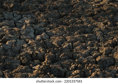 Cracks In Dry Dirt Showing Texas Drought On Ground In Landscape.