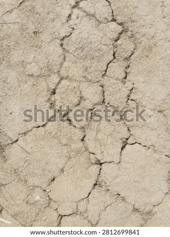 Cracks in the dry ground
