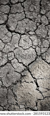 cracks in the ground that occur due to the dry season.