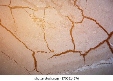 The cracks are the lines of the dry area because of the hot sun.