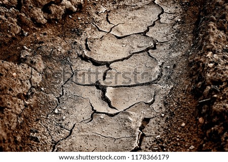 Image, Stock Photo Earth cracked Summer
