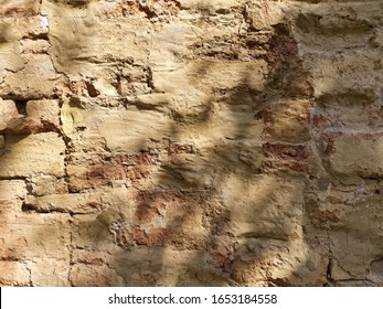 Cracks On The Red Brick Wall Of The Old Building Are Damaged.  Wet With Moss And Dog Claw Marks On Shiny Leaf Walls