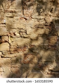 Cracks On The Red Brick Wall Of The Old Building Are Damaged.  Wet With Moss And Dog Claw Marks On Shiny Leaf Walls