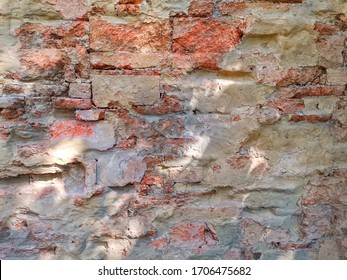 Cracks On The Red Brick Wall Of The Old Building Are Damaged. Wet With Moss And Dog Claw Marks On Shiny Leaf Walls.