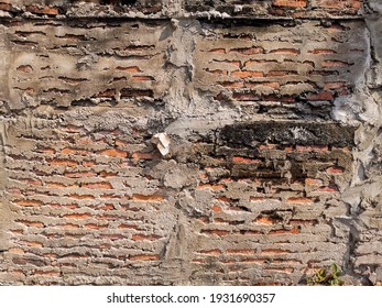 Cracks On The Red Brick Wall Of The Old Building Are Damaged. Wet With Moss And Dog Claw Marks On Shiny Leaf Walls