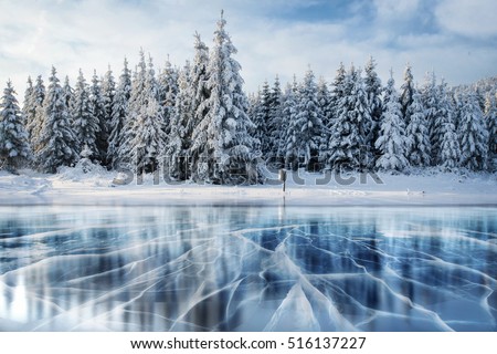 Cracks on the surface of the blue ice. Frozen lake in winter mountains. It is snowing. The hills of pines. Carpathian Ukraine Europe.