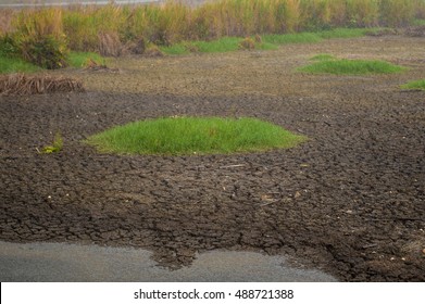 Cracks On A Surface Of A Clay Ground After Rain  (Crack Soil After Run Out Of Raining , Crack Soil On Dry Season, Global Worming Effect.)