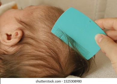 Cradle Cap Comb Removing From Baby`s Head