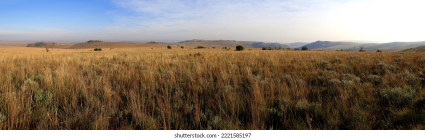 Cradle of Humankind World Heritage Site Landscape Panorama - Shutterstock ID 2221585197
