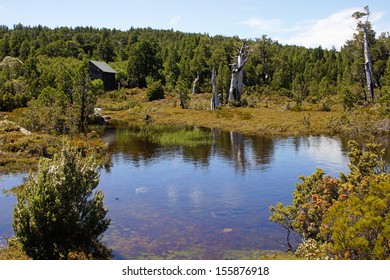 Cradle Mountain Lake St. Clair National Park, Tasmania, Australia