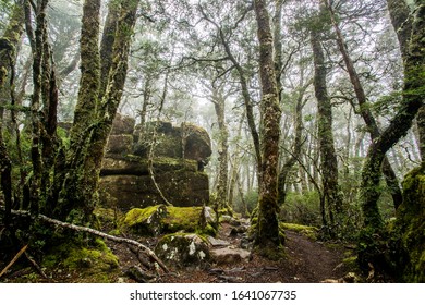 Cradle Mountain, Tasmania, Australia: Overland Trek