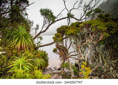 Cradle Mountain, Tasmania, Australia: Overland Trek