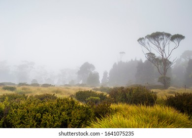 Cradle Mountain, Tasmania, Australia: Overland Trek