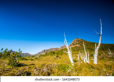 Cradle Mountain, Tasmania, Australia: Spectacular Viev Of Overland Trek