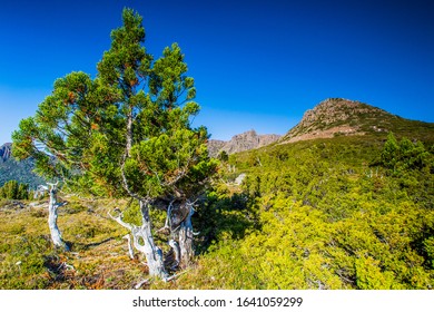 Cradle Mountain, Tasmania, Australia: Spectacular Viev Of Overland Trek