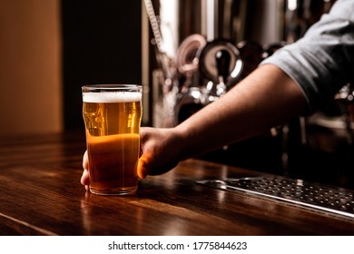 Craft beer for regular client. Bartender gives glass of light lager in interior of pub, unrecognizable, close up - Powered by Shutterstock