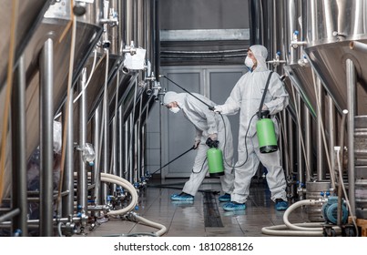 Craft brewery, eco product and disinfection. Workers in hazmat suits clean plant and kettles during quarantine, side view, free space
