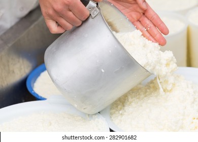 Craft Making Cheese In A Pot With Fresh Milk