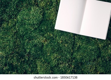 Craft Notebook, White Sketch Book On Fresh Spring Green Grass, Moss Background. Copy Space. Top View. Wild Nature, Ecology Concept. Summer Forest. Sustainable, Organic, Zero Waste Lifestyle.