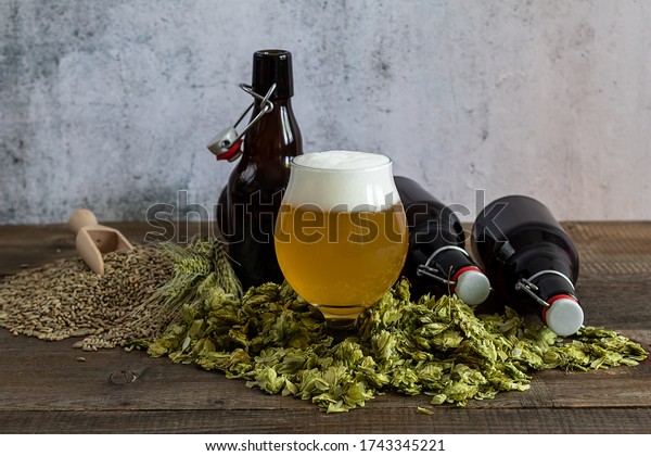 Craft pale ale in a glass with beer\
growlers and green dry hops. Home brewing. Copy\
space.