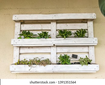 craft planter derived from pallets