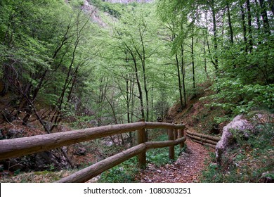 Craggy Gardens Appalachian Hiking Trail Fog Blue Ridge Parkway near Asheville NC in Western North Carolina