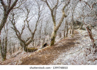 Craggy Gardens Blue Ridge Parkway