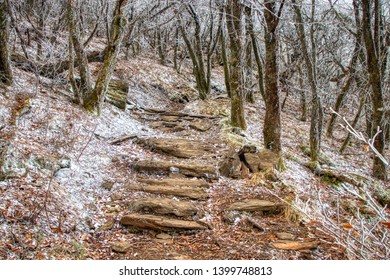 Craggy Gardens Blue Ridge Parkway