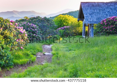 Craggy Gardens Trail and Shelter, surrounded by a large expanse of native Catawba rhododendron in the bald just north of Asheville, North Carolina.