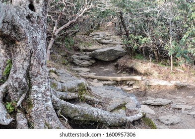 Craggy Pinnacle Hike, North Carolina